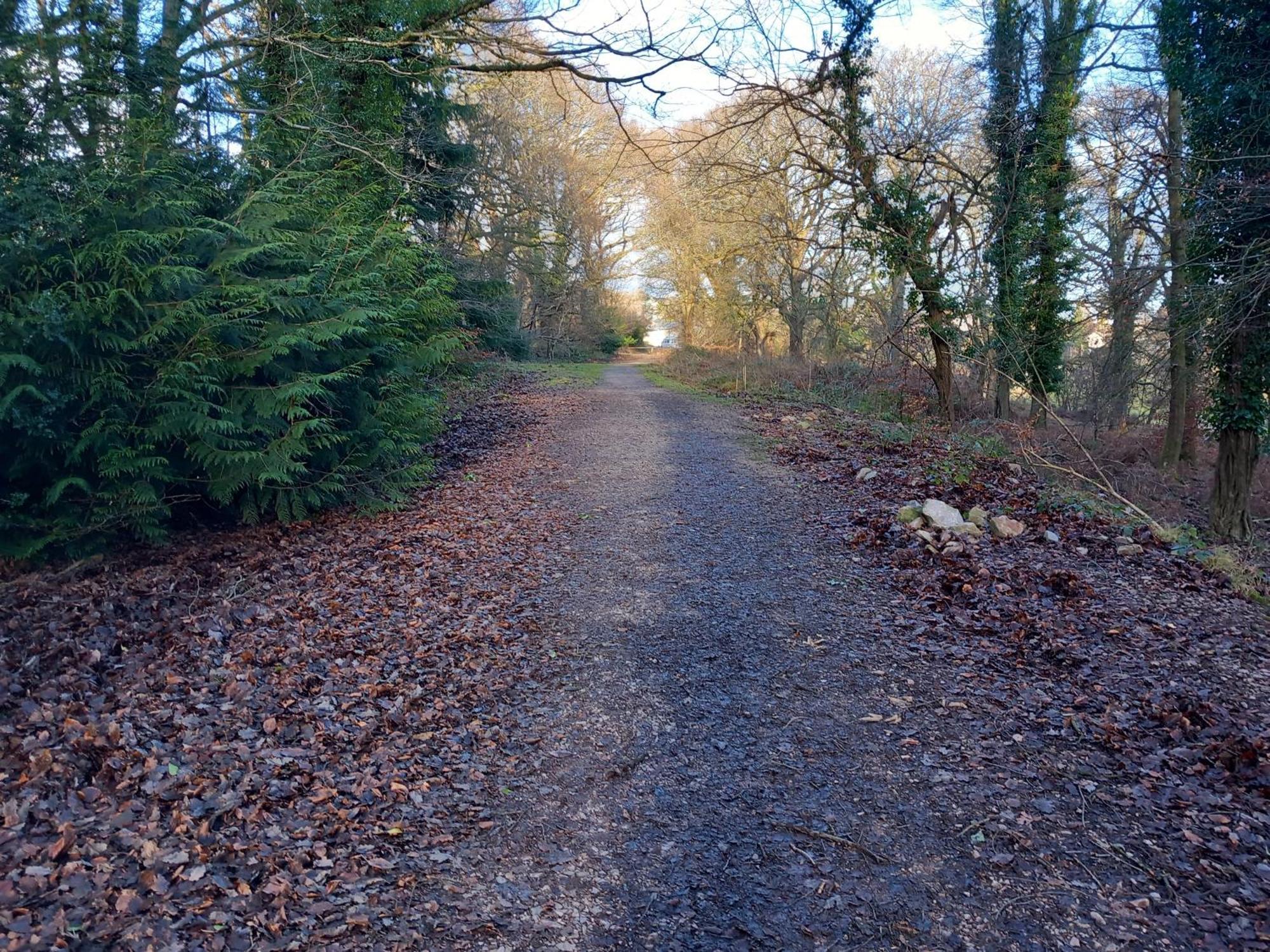 The Bungalow, Forest Of Dean Coleford  Buitenkant foto