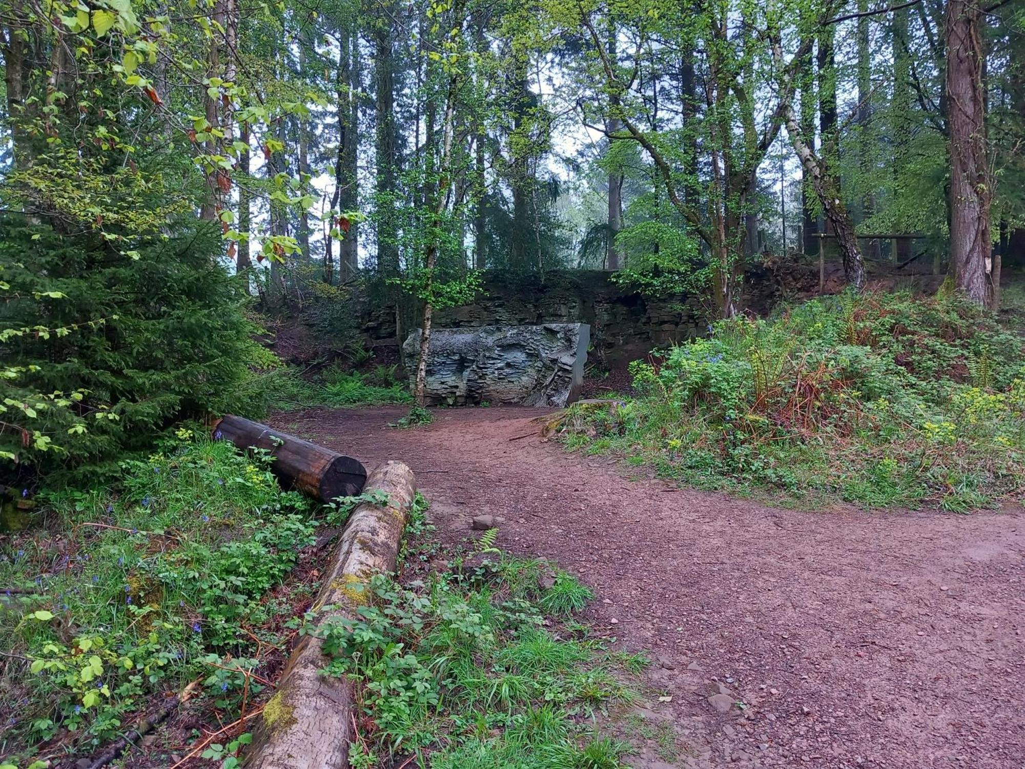 The Bungalow, Forest Of Dean Coleford  Buitenkant foto