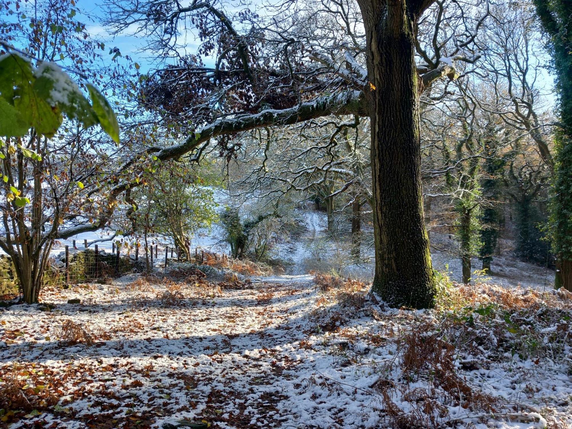 The Bungalow, Forest Of Dean Coleford  Buitenkant foto